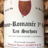 René Cacheux Vosne Romanée 1er Cru Les Suchots