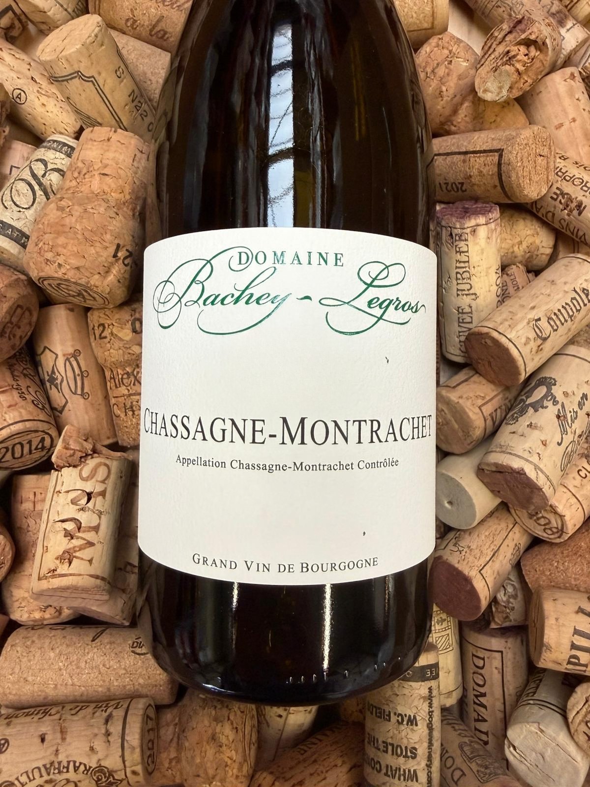 Bachey-Legros Chassagne-Montrachet 2024