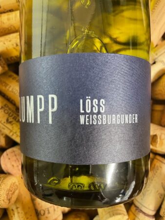 Weingut Klumpp Löss Weissburgunder Baden 2023
