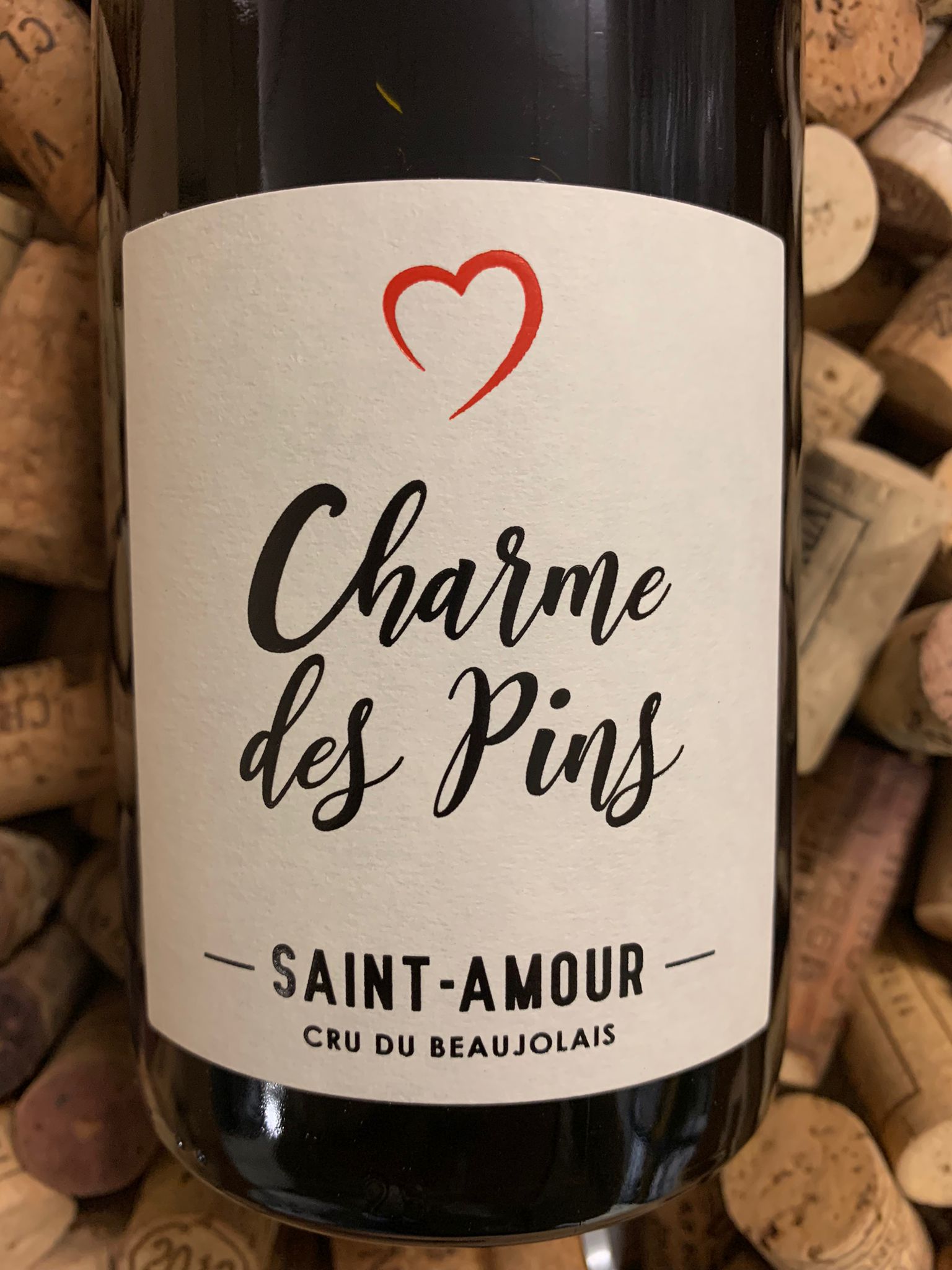 Domaine des Pins Charme des Pins Saint-Amour 2020