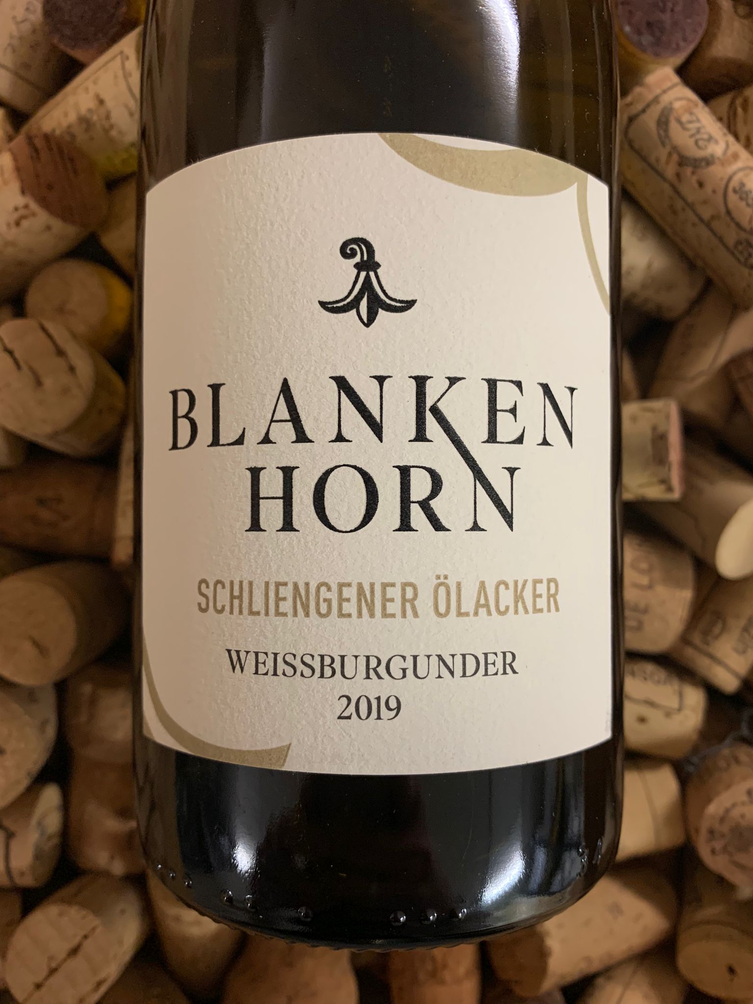 Weingut Blankenhorn Schliengener Ölacker Weissburgunder Baden 2019
