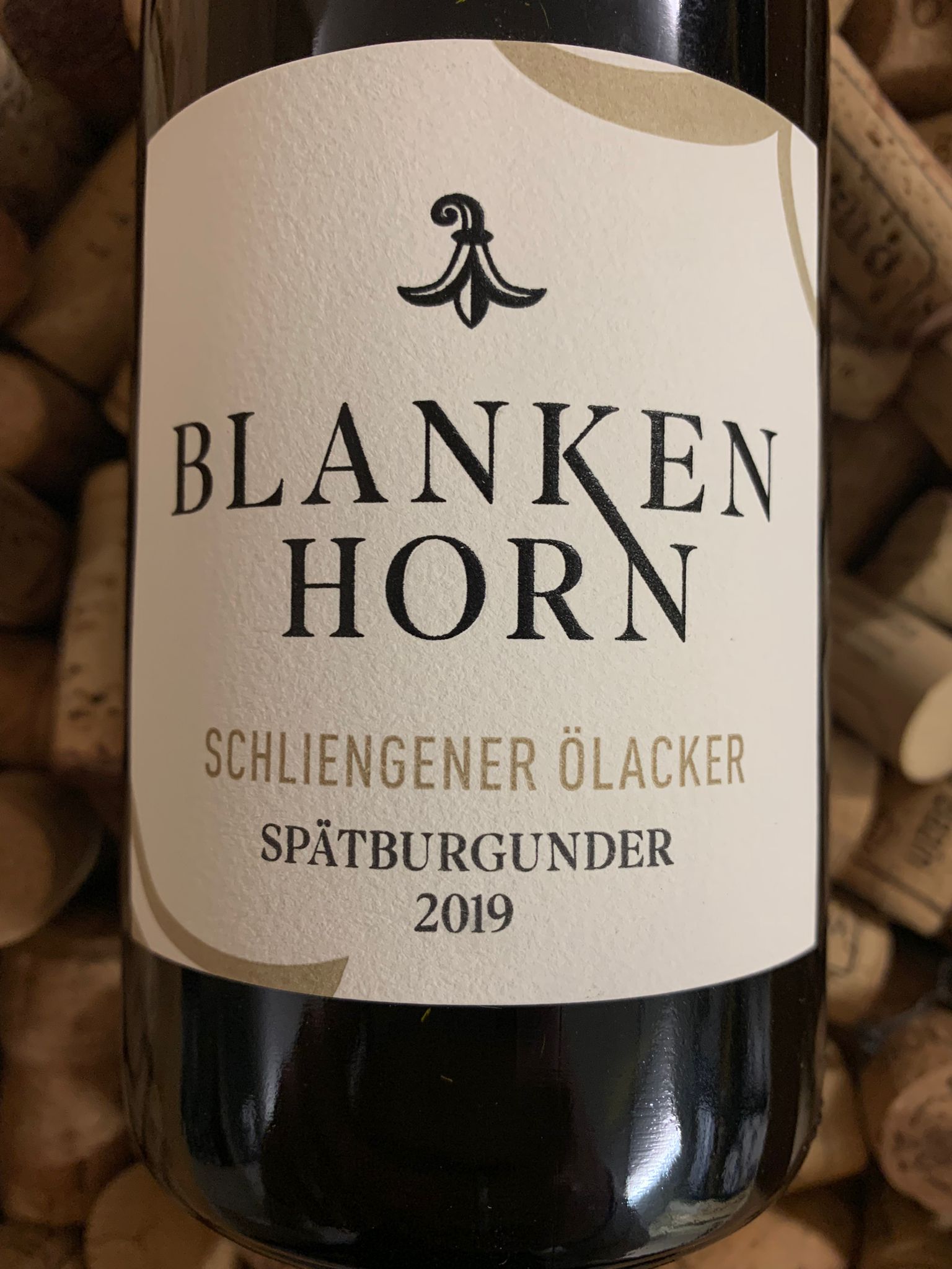 Weingut Blankenhorn Schliengener Ölacker Spätburgunder Baden 2019