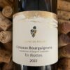 Domaine Les Astrelles Coteaux Bourguignons Blanc En Riottes 2022