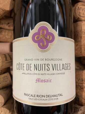 Pascale Rion Delhautal Mosaïc Côte de Nuits-Villages 2023