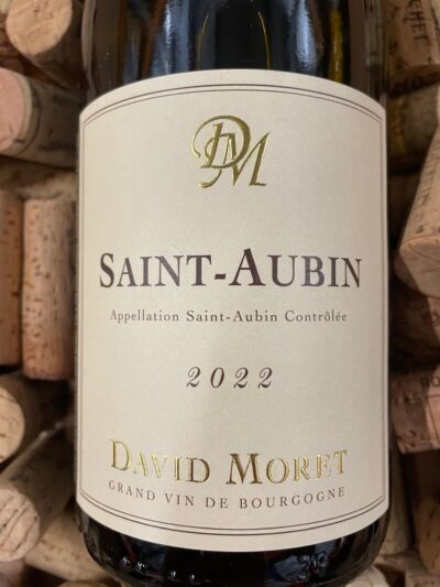 David Moret Saint-Aubin 2022